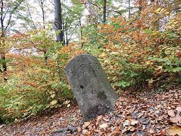 Gedenkstein für alfred walter (weida) und die verwundeten des volksaufstands am 17. File Ffh Gebiet Stein Rachelsberg Gobert Im Thuringischen Landkreis Eichsfeld 2 Jpg Wikimedia Commons