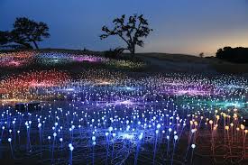 California S Stunning Field Of Light Is Back In 2020 California California Dreaming Paso Robles