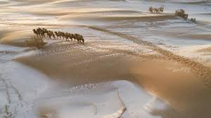 Die gegend gehört zum saharaatlas, einer gebirgskette, die die nordgrenze der sahara bildet. Unglaubliches Wetterphanomen Deshalb Liegt Plotzlich Schnee In Der Sahara