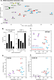 Platelets are best known as colorless cell fragments that rush to the site of an infection or injury, helping the blood congeal to stop bleeding; Transcriptomes Of Trypanosoma Brucei Rhodesiense From Sleeping Sickness Patients Rodents And Culture Effects Of Strain Growth Conditions And Rna Preparation Methods