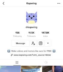 Aesthetic Bio Template Copy And Paste Instagram How To Add A Link In Tiktok Bio In 2020 Bio Ads Made Video
