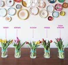 Check spelling or type a new query. Test Lab The Best Way To Keep Flowers Fresh Apartment Therapy