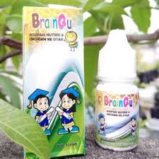 Hasil gambar untuk brainqu cikampek