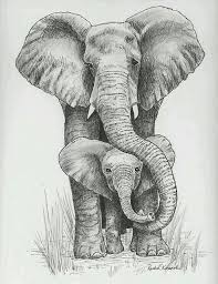 Elefante Bebe Y Mama Grafito Hayvan Cizim Hayvanlar