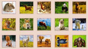 Learning Wild Animals For Toddlers Learn Animal Name Learning Animals Sounds For Kids Wild Animals Animals Wild Animal Sounds Toddler Learning