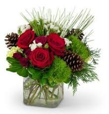 I placed my order via phone, the man i spoke with was very kind and patient. 44 Christmas Flowers Ideas Christmas Flowers Flowers Christmas Flower Arrangements