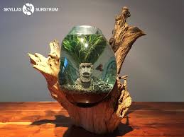 Aquarium En Racine De Teck Teak Root Fish Tank For An Original Decor Fish Tank Decorations Succulent Garden Design Cool Fish Tanks