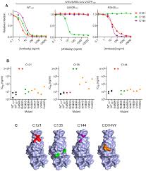 Increase in virulence what makes the delta variant a voc? Escape From Neutralizing Antibodies By Sars Cov 2 Spike Protein Variants Elife
