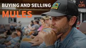 Good Horsemanship Members Site