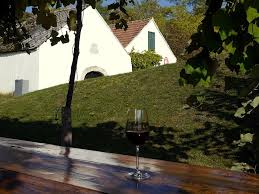 © 2021 national trust for historic preservation and the glass house. Red Wine Glass Cup Table Vine Grass Trees House Piqsels