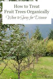 A sixteen ounce bottle costs $21.80 plus shipping. How To Treat Fruit Trees Organically When To Spray For Disease