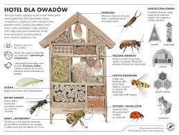 Czym się różnią i na jaki typ warto się zdecydować Dzien Pszczoly By Joanna Szymanska On Genially Outdoor Structures Home Crafts Diy Inspiration