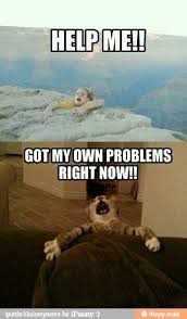 Falling Off A Cliff And Falling Off A Table Funny Photos Funny Pictures Funny Memes