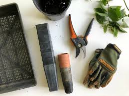 Garden sprayer and medium stiff brush e1312404881810, image source: How To Disinfect Gardening Tools