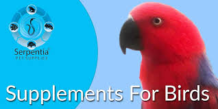 We did not find results for: Bird Vitamin Supplements Serpentia