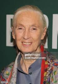 30 Jane Maynard Stock Photos, High-Res Pictures, and Images