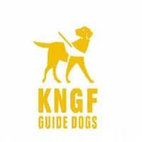 Nl81ingb0000275400 kngf geleidehonden te amstelveen algemene inkoopvoorwaarden disclaimer 17 Our Guides Friends Ideas Guide Dog Dogs Service Dogs