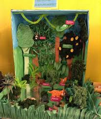 Biome In A Box Image Result For Creating Trees For A Rainforest Biome Box Rainforest Project Rainforest Biome Biomes Project