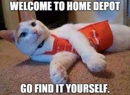 Funny Animal Pictures Of The Day 22 Pics Funny Cat Memes Cat Quotes Funny Funny Cute Cats
