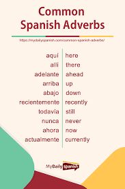 Adverbs are placed close to the word they modify (the verb, the adjective or the other adverb). 105 Common Spanish Adverbs My Daily Spanish