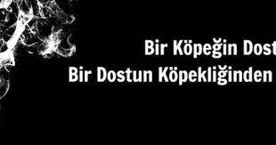 sadece kelimeler panosundaki pin