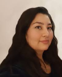 Low-Dimensional Electronics Group