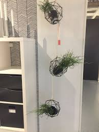 Pflanzen Hange Ampel Aus Lampenschirmen Von Ikea Lampenschirm Pflanzen Ikea