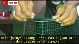 Kandang kurungan selanjutnya adalah terbuat dari besi,biasanya banyak juragan juragan ayam bangkok menggunakan kandang tipe ini,selain mudah di buat,kurungan rangka besi dan biasanya dinding menggunakan kawat ram ataupun jaring.kandang kusus anakan ayam bangkok. Sangkar Kotak Multiguna Kawat Ram Nampan Plastik Youtube
