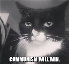 Slavoj Vs Noam On Twitter Communism Will Win Zizekquotes Zizek Philosophy Communism Winning Commiecat Http T Co T8uafoy5bq Twitter