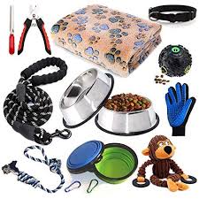 10 Amazon Best Sellers Dog Supplies Puppy Starter Kit Dog Grooming Tools Dog Supplies