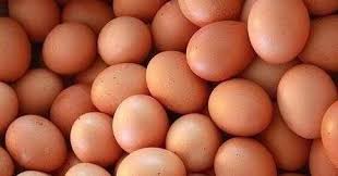 Ada juga pilihan resep berdasarkan jenis bahan baku. Kami Siap Mendistribusikan Telur Ayam Ke Kapal Anda Untuk Keperluan Bekal Perjalanan Baik Dalam Negeri Maupun Luar Negeri Order Mini Telur Ayam