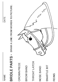 English Bridle Parts Worksheet Horse Anatomy Horse Lessons Horseback Riding Lessons