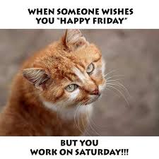 70 Funniest Friday Memes And Best Tgif Meme For The Weekend Funny Friday Memes Friday Humor Funny Ghetto Memes