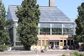 Składała się z części centralnej, w której można było podziwiać palmy, a także dwóch skrzydeł, w których prezentowano kaktusy i rośliny. Dzieje Palmiarni Historia Kultura Kulturapoznan Pl