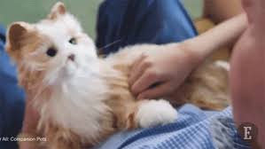 Https Encrypted Tbn0 Gstatic Com Images Q Tbn And9gctd1poiumaxcrb Um27wl5tjbwxmjegb Uwda Usqp Cau