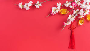 78,003 likes · 159 talking about this. ä¸­åœ‹è¾²æ›†æ–°å¹´æœ€å—æ­¡è¿Žçš„é®®èŠ±