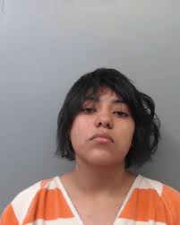 Webb warrant roundup ends with 11 arrests