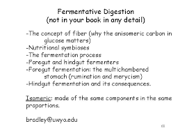 Native to south america, this hindgut. Nutrition And Digestion Please Read Chapter 43 In