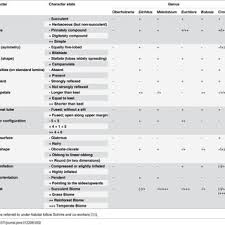 Image result for Dichilus reflexus