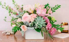 We did not find results for: Flower Delivery Near Me Save Up To 50 90 Groupon