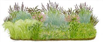 Other Ideas Tall Ornamental Grasses Grasses Landscaping Landscape Plans
