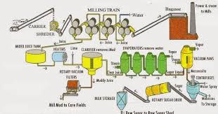 process flow sheets sugar from sugar cane production