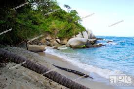 Nude Beach, Tayrona National Park, Santa Marta, Magdalena, Colombia, Stock  Photo, Picture And Rights Managed Image. Pic. CLU-CAM-00071081 |  agefotostock