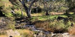 Catchment Conversation - Finniss River, Deep Creek