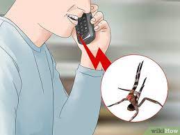 Scientists have reportedly considered investigating the use. 4 Ways To Identify A Brazilian Wandering Spider Wikihow