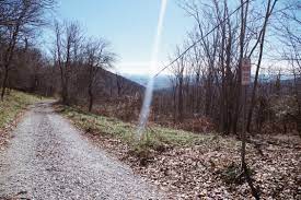 Hiking With Intention Bearwallow Mountain Trail Northcarolina Hikingtrails Hiking Mindfulness Awareness Happine Mountain Trails Hiking Natural Wonders