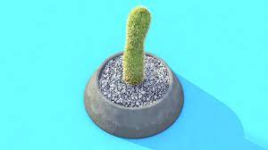 Try to find a desert or a small area of sand 2. A Little Cactus Cinema4d