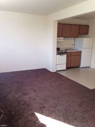 At the retreat, bring your family, including your pet! Skyview Apartments Detroit Mi