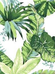 Free download is the main goal of our site. Inspired By The Beverly Hills Hotel Palm Leaf Wallpaper Style Scout Palm Leaf Wallpaper Leaf Wallpaper Tropical