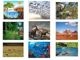 Odum, the ecosystem is the basic functional unit of organisms and their. Map Quiz Ecosistemas Terrestres Biologia 5Âº Primaria Ecosistema Ecosistema Acuatico Ecosistema Terrestre